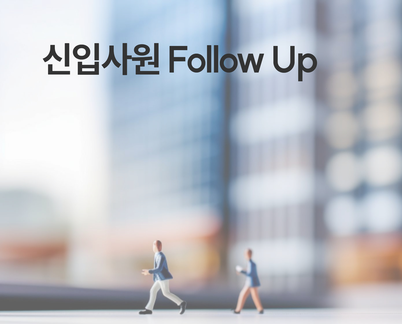 신입사원 follow up 썸네일